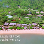 Tour Biển Và Rừng Trên Đảo Hoa Lan Xinh Đẹp